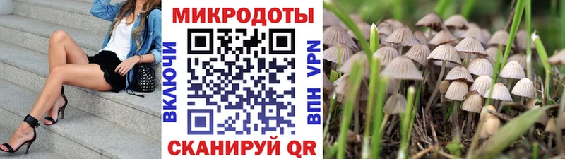 Купить закладки Раменское Псилоцибиновые грибы GOLDEN TEACHER